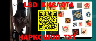 стафф Славгород