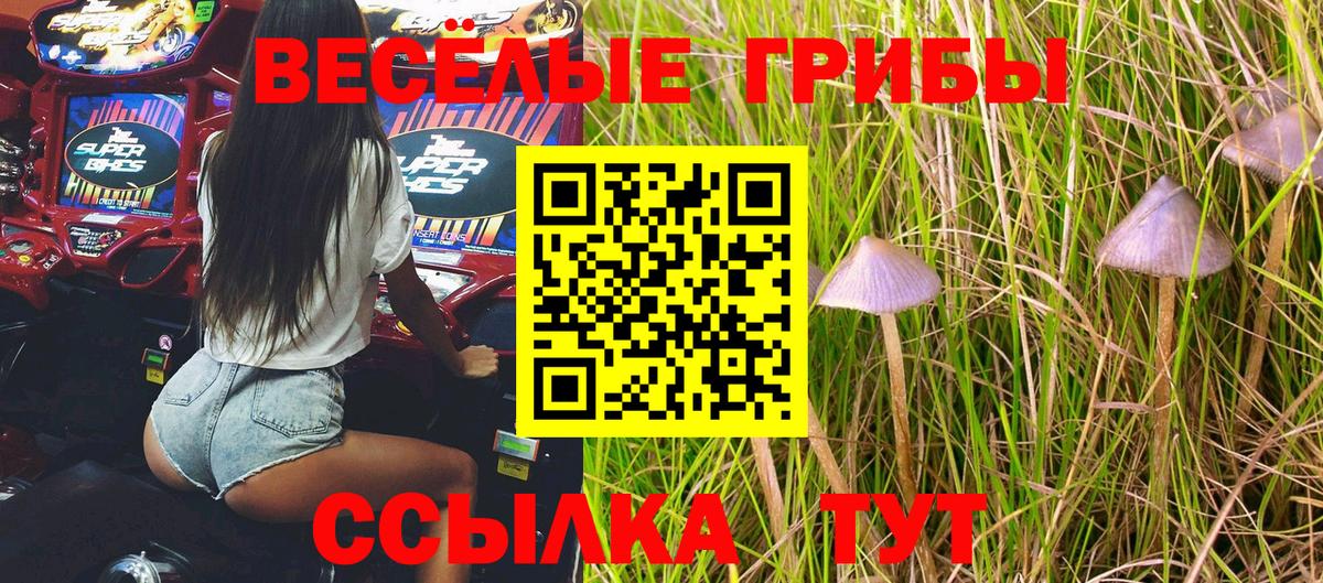 Нижний Тагил  Псилоцибиновые грибы Psilocybine cubensis  Вход с VPN 